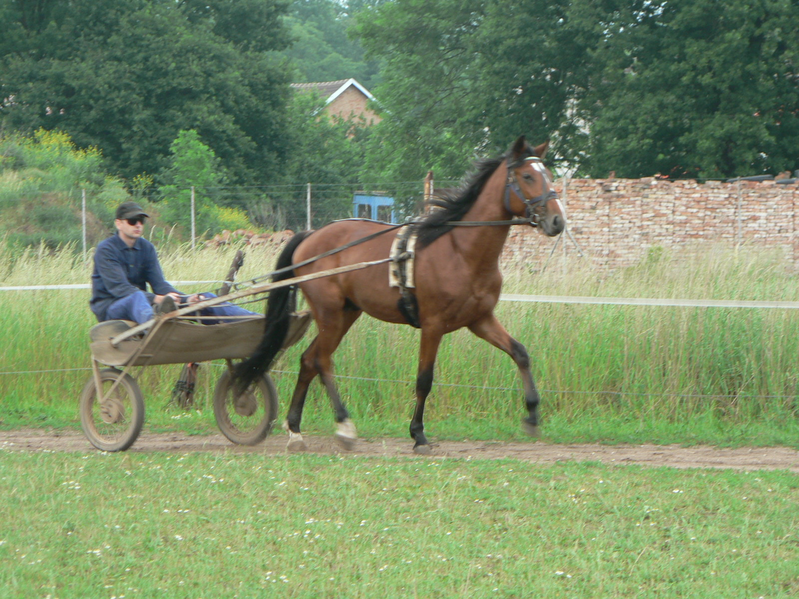 27.5.07 Vulcan 003.jpg