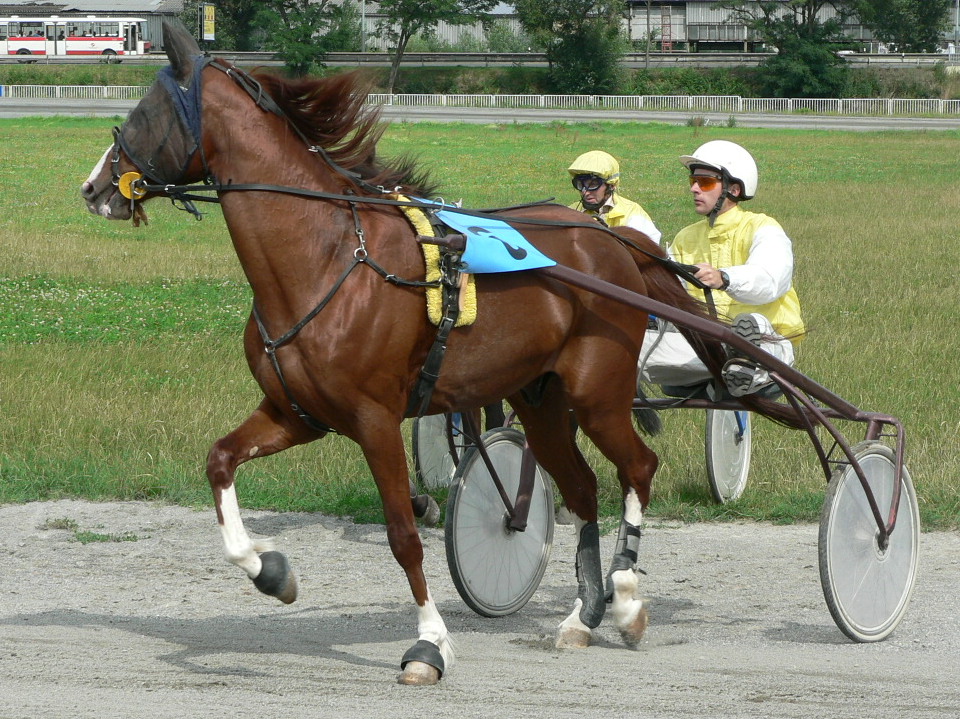 Chuchle 08 007.jpg
