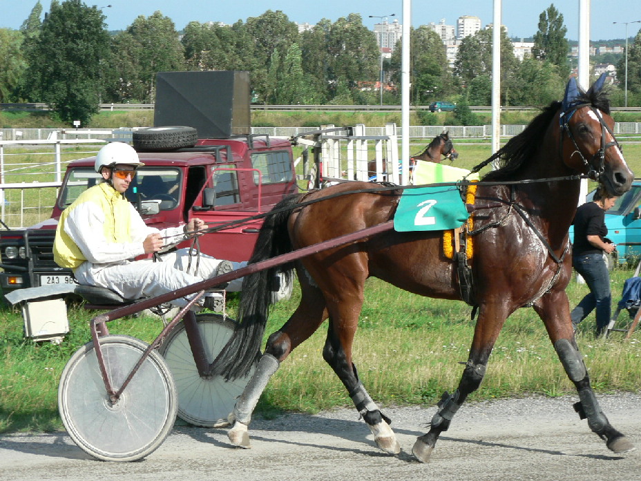 Chuchle 08 093.jpg