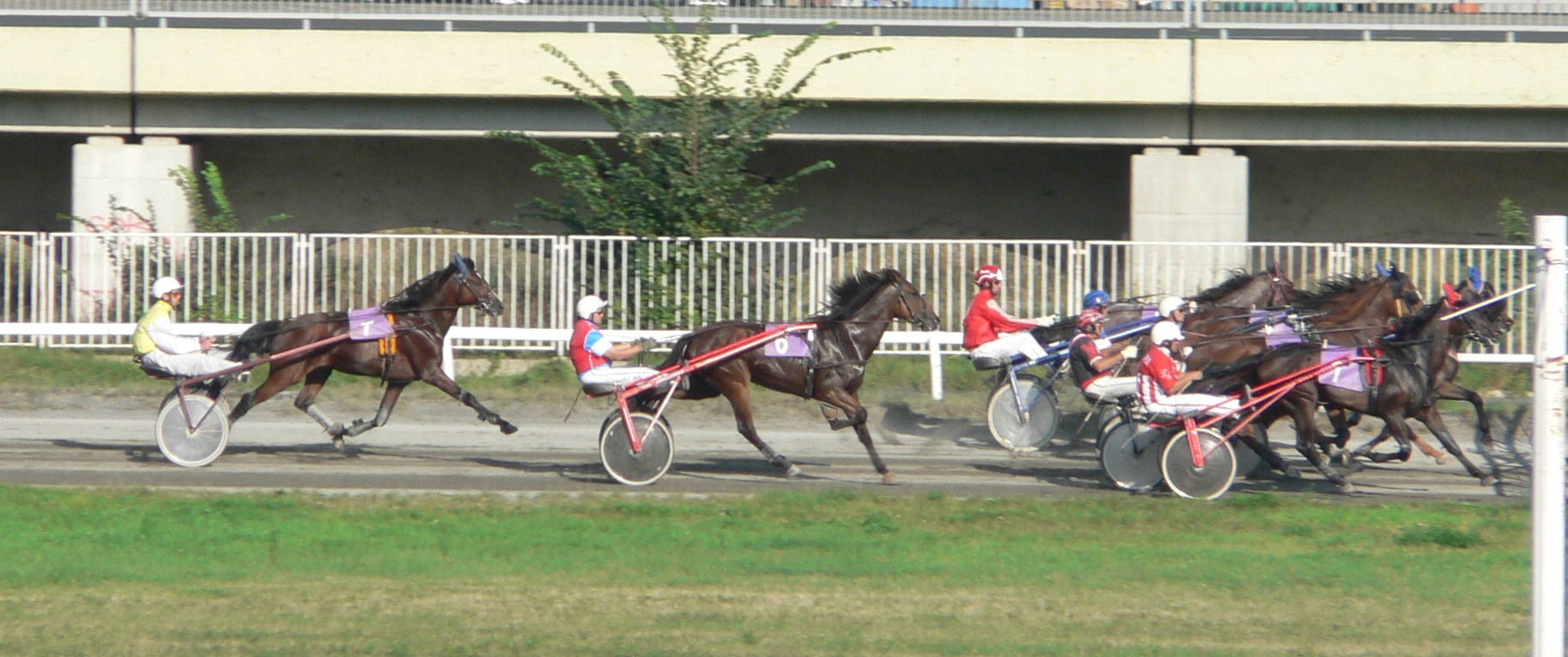 6.9.08 Chuchle 014.jpg