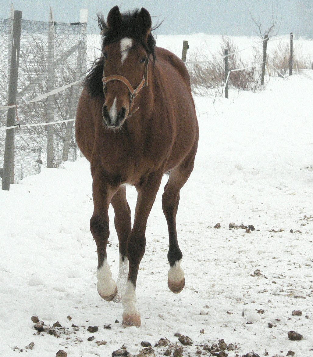 Vera  zima 2010 004.jpg