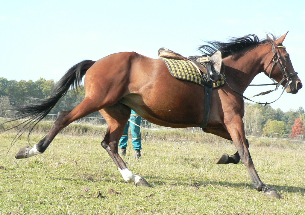 24.10.2010  005.jpg