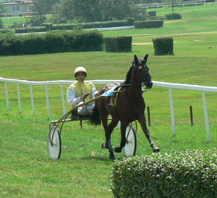 Viking 28.7.2012 005