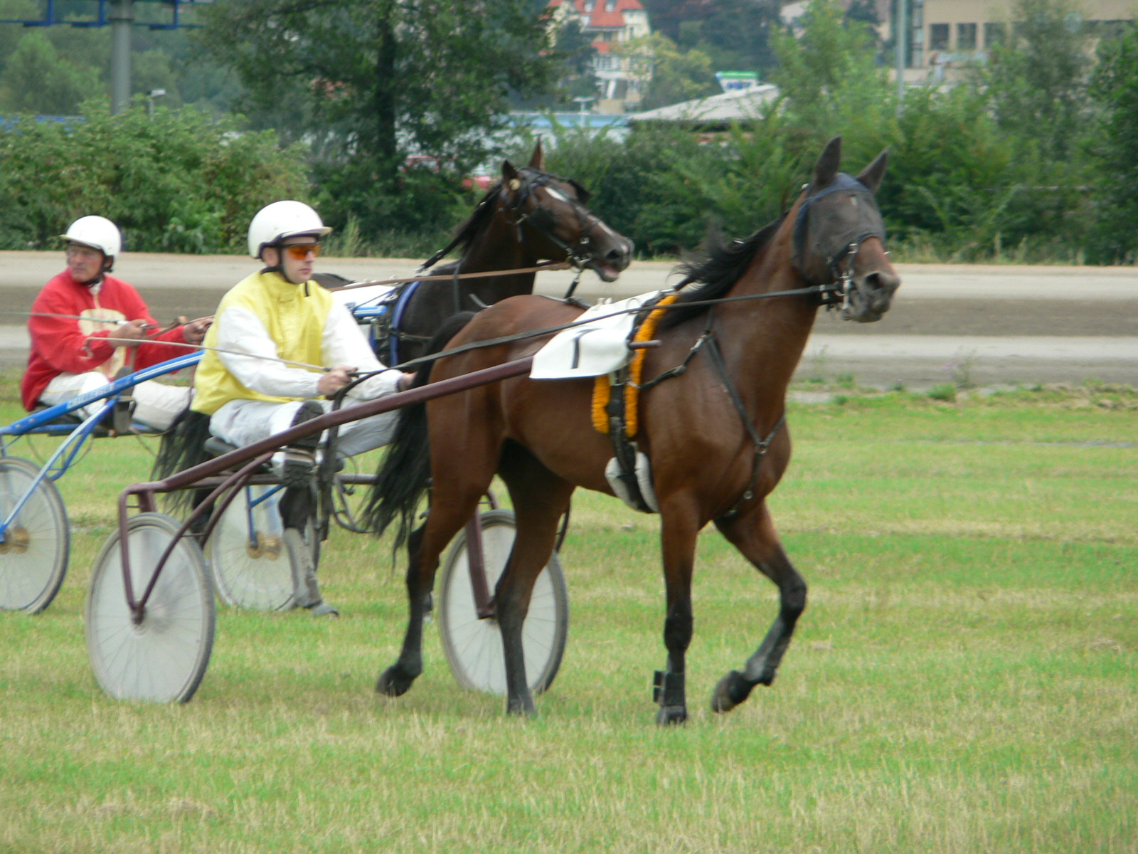 před dostihem Vanilka.jpg